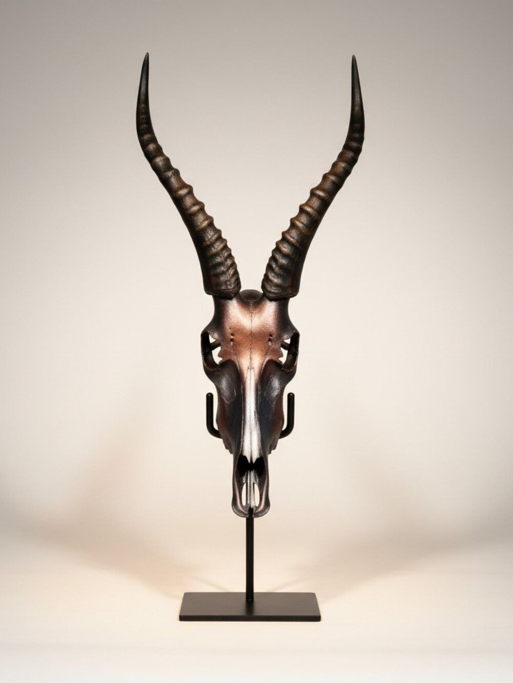 Hand painted real Bleskbok skull